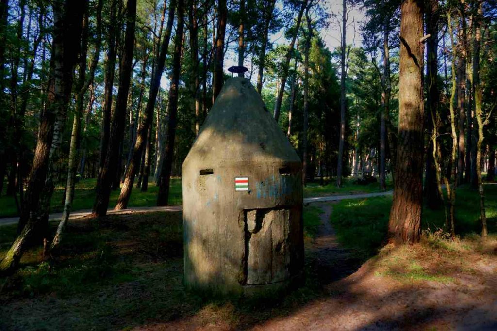 Ruchome wydmy w Łebie