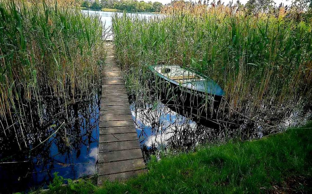 Pszczew -Międzyrzecz -Międzychód- Skwierzyna -Rokitno