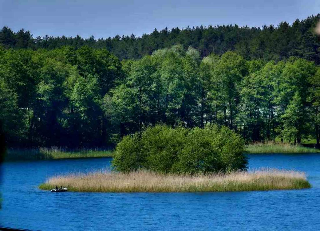 Pszczew -Międzyrzecz -Międzychód- Skwierzyna -Rokitno