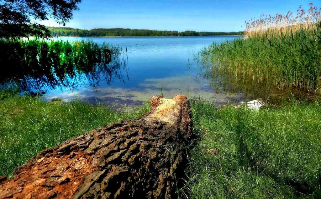 Pszczew -Międzyrzecz -Międzychód- Skwierzyna -Rokitno