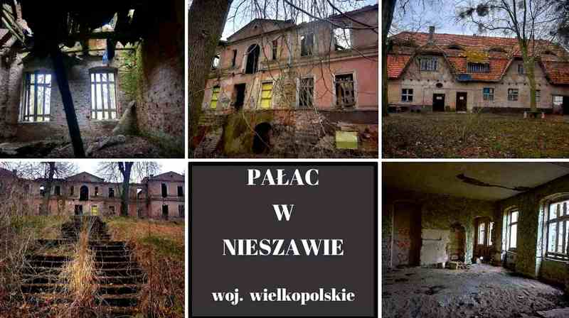 Pałac w Nieszawie 