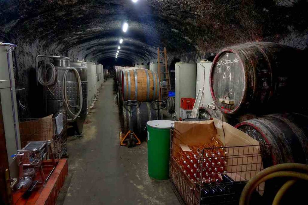 Piwnice z winem w Egerze