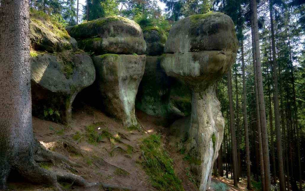 Skalne Grzyby na Rezerwacie Głazy Krasnoludków