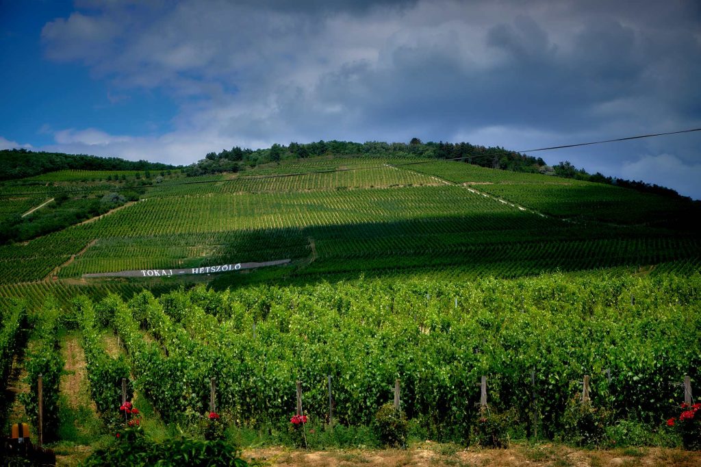 Tokaj