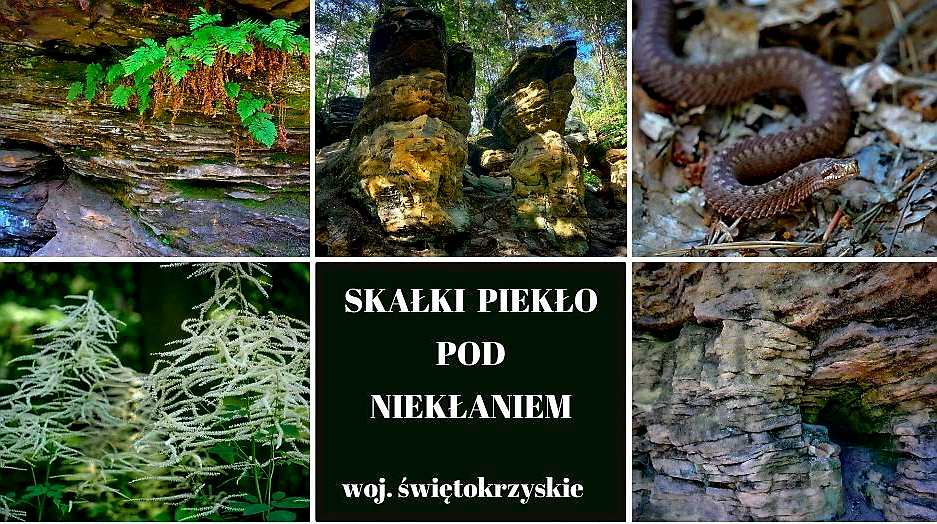 Skałki Piekło pod Niekłaniem