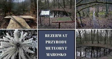 Rezerwat Przyrody Meteoryt Morasko