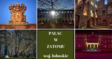 Pałac w Zatoniu