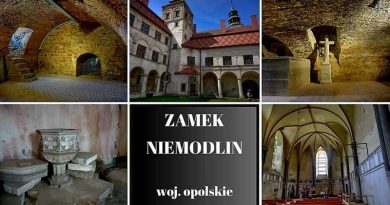 Zamek Niemodlin