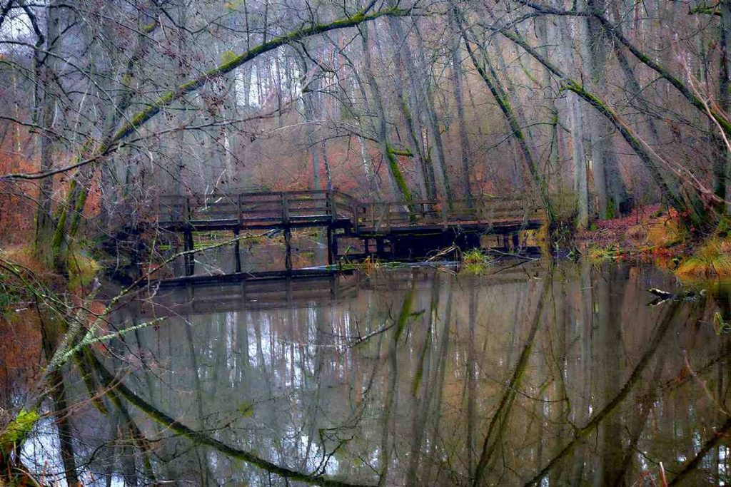 Ścieżka Nad Bukówką