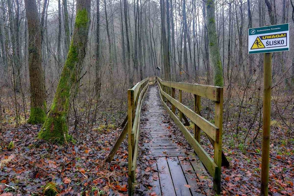 Ścieżka Nad Bukówką