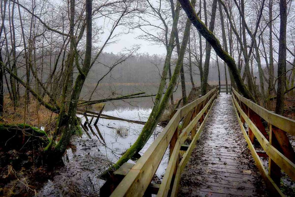 Ścieżka Nad Bukówką