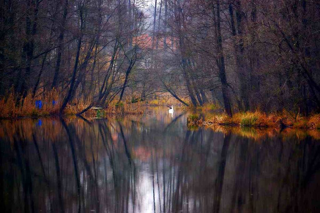 Ścieżka Nad Bukówką