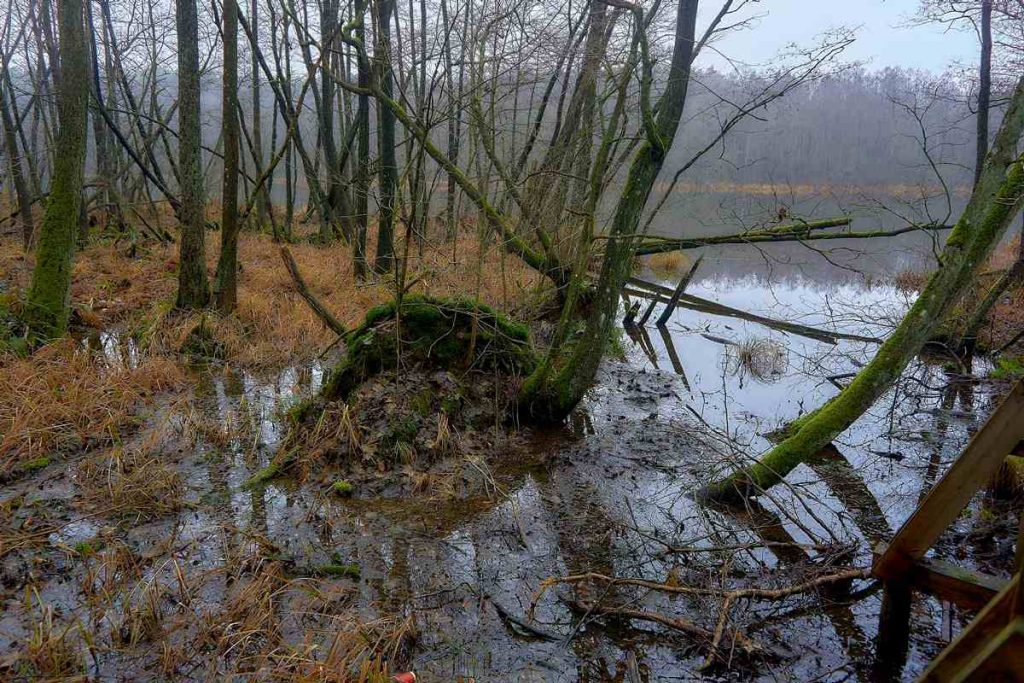 Ścieżka Nad Bukówką