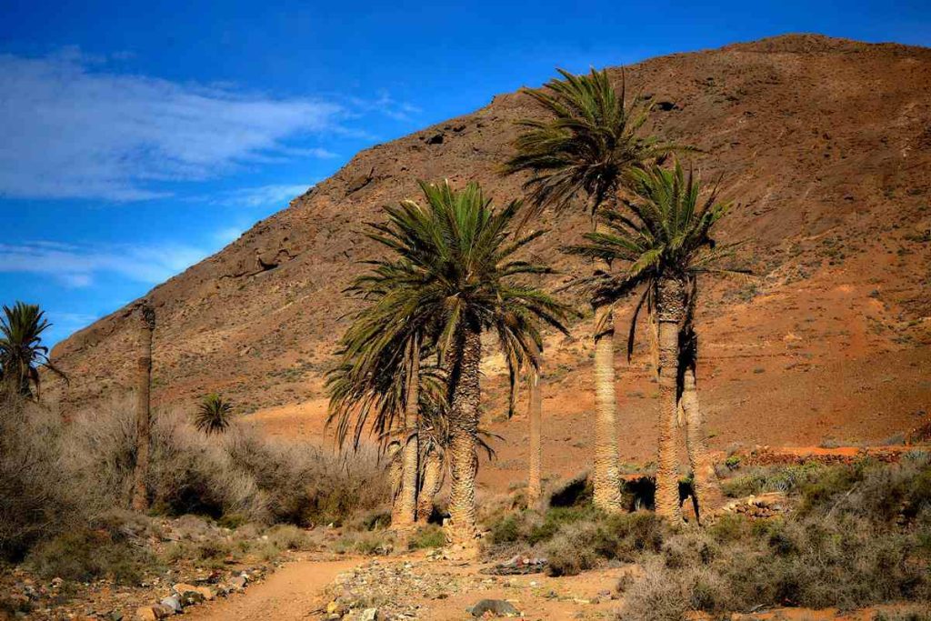 Barranco de las Peñitas