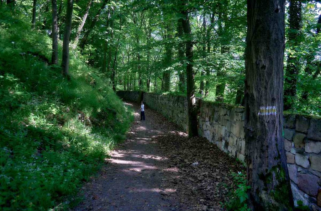Zamek Wleń