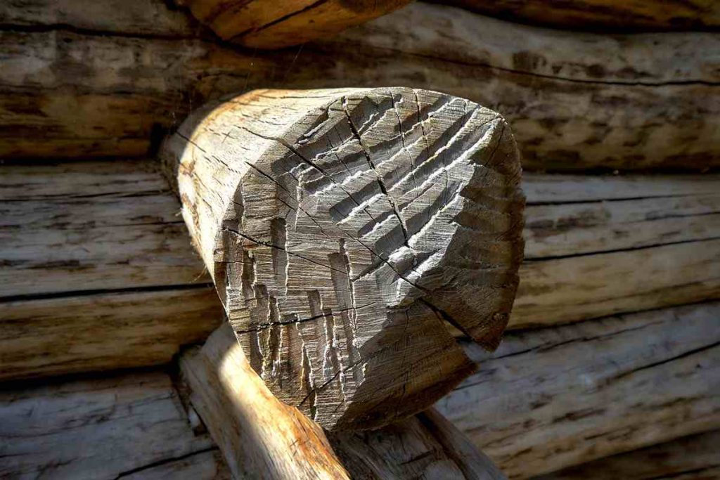 Muzeum Archeologiczne w Biskupinie