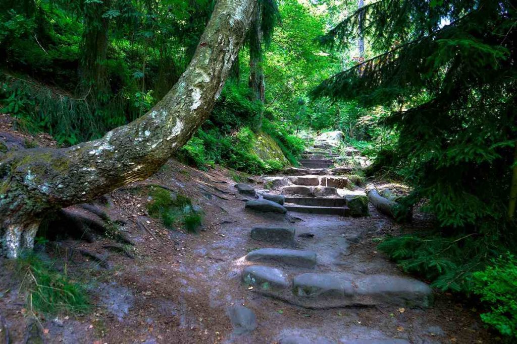 Góra Lilienstein